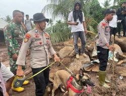 Polri mengirimkan 102 personel dan satu anjing K9 untuk mencari korban longsor di Kelurahan Rua, Ternate