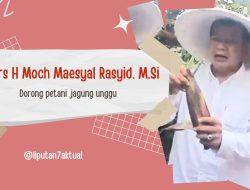 Drs H Moch Maesyal Rasyid, M.Si mengunjungi ladang jagung ungu di Kecamatan Sukamulya, Kabupaten Tangerang