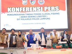 Ungkap 149.400 Ekor BBL, Polda Lampung Selamatkan Kerugian Negara Rp37,3 M