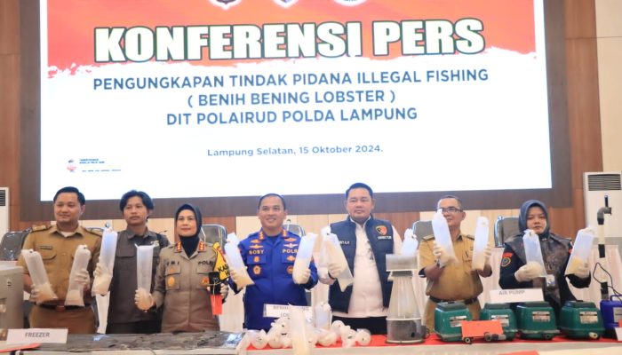 Ungkap 149.400 Ekor BBL, Polda Lampung Selamatkan Kerugian Negara Rp37,3 M
