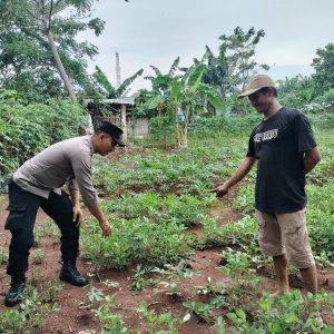 Dukung Ketahanan Pangan, Bhabinkamtibmas Kunjungi Petani di Wilayah Binaan