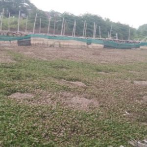 FPRB Babat Jerawat Berharap Pemkot Segera Mewujudkan Pembenahan Bosem Babat Jerawat Sebagai Antisipasi Musim Hujan