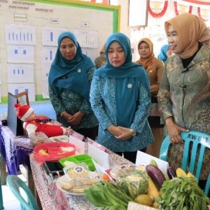 TP PKK Kabupaten Tangerang Menerima Kunjungan Tim Studi Tiru Pengelolaan Posyandu dari Pemkab Belitung Timur