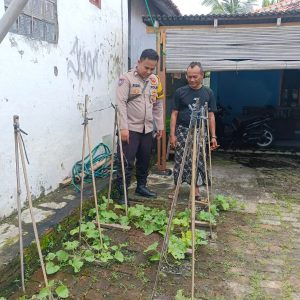 Dalam mendukung program Ketahanan Pangan Polsek Mauk Polresta Tangerang Gelar Program Kapolda Banten Poliran dan Pendataan Pekarangan Lestari Lontar di Kp. Lontar