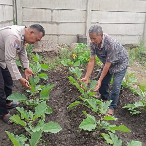 Bhabinkamtibmas Kelurahan Sindang Sari Ajak Warga Dukung Ketahanan Pangan Nasional