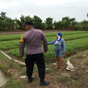 Dukung Program Ketahanan Pangan, Bhabinkamtibmas Desa Jayanti Lakukan Penanaman Sayur- Sayuran Dengan Warga   