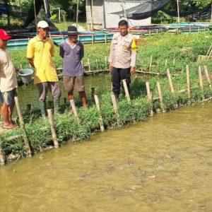 Dukung Ketahanan Pangan, Personil Polsek Balaraja Melakukan Pemantauan Warga Yang Memanfaatkan Lahannya Untuk Program Ketahanan Pangan (budi daya lele) di Kelurahan Balaraja