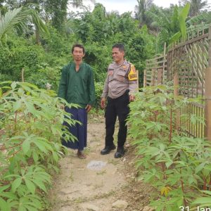 Dalam mendukung Program Ketahanan Pangan Bripka Dadang lakukan Pendataan Pekarangan Lestari di Desa Kandawati