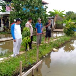 Bhabinkamtibmas Aiptu Iwan Budiman Personil Polsek Balaraja Melakukan Pemantauan Ketahanan Pangan Bergizi di Kelurahan Balaraja