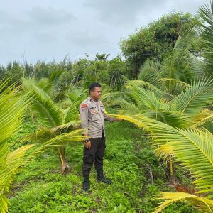 Bhabinkamtibmas Desa Karang Serang Aipda Niko Gelar Program Kapolda Banten Poliran dan Pendataan Pekarangan Lestari