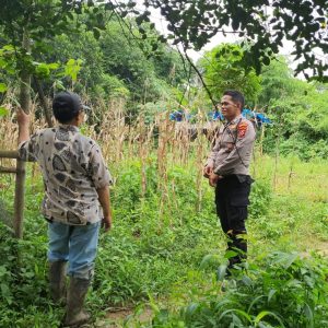Bripka Dadang lakukan Pendataan Pekarangan Lestari di Desa Kresek dalam mendukung Program Ketahanan Pangan   