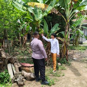 Mendata Pekarangan Bergizi Di Wilayah Binaan Bhabinkamtibmas Polsek Cisoka Berikan Pemahaman Tentang Cara Bercocok Tanam.   