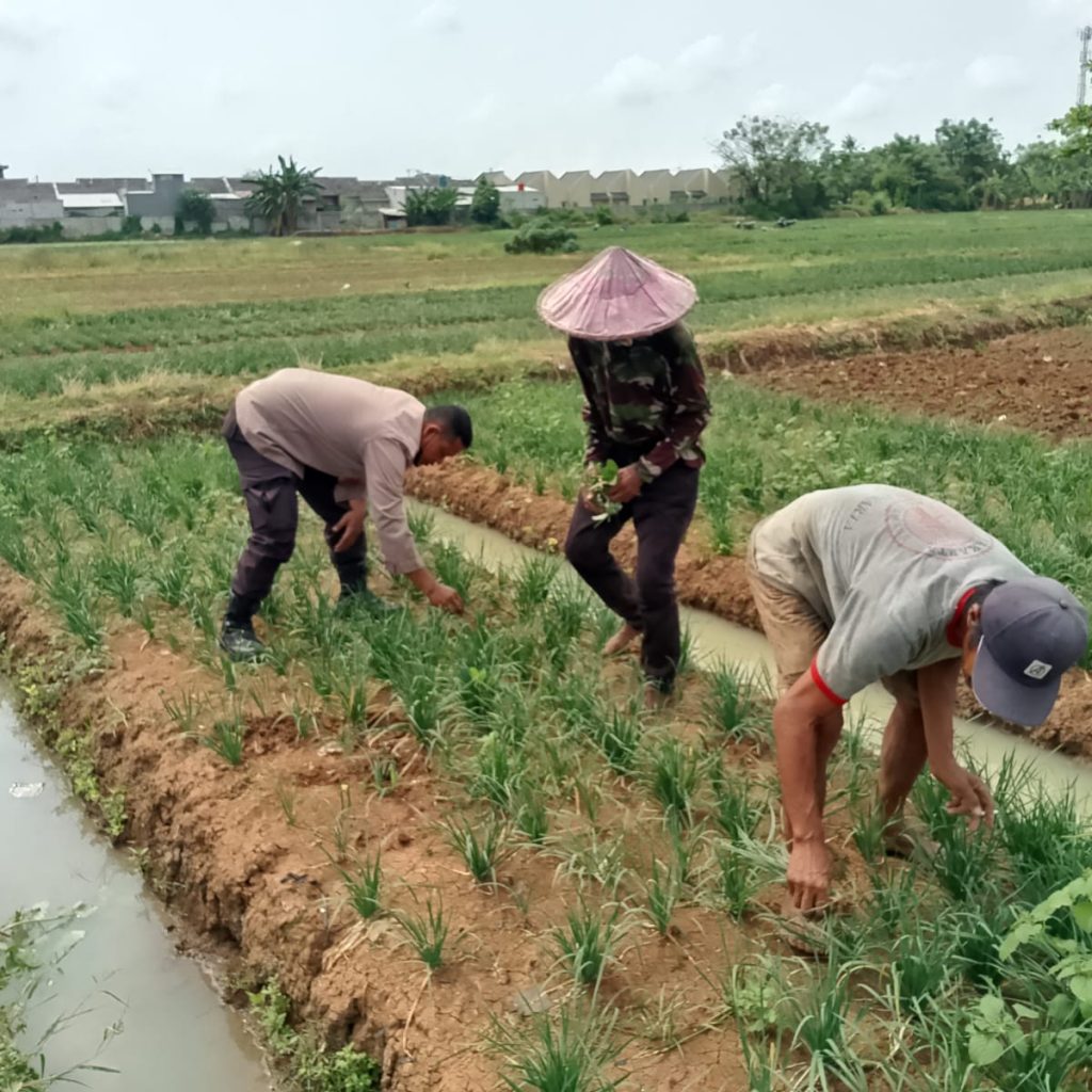 Polri Dorong Pemanfaatan Pekarangan Produktif untuk Swasembada Pangan   