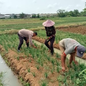 Polri Dorong Pemanfaatan Pekarangan Produktif untuk Swasembada Pangan   
