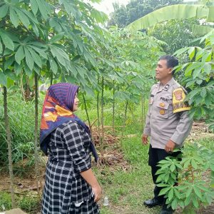 Dalam mendukung Program Ketahanan Pangan Aiptu Sukarna lakukan Pendataan Pekarangan Lestari di Desa Patrasana   