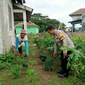 Dalam mendukung Program Ketahanan Pangan Aiptu Sukarna lakukan Pendataan Pekarangan Lestari di Desa Cibetok   