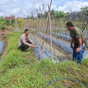 Bentuk Dukungan Program Ketahan Pangan Nasional Bhabinkamtibmas Aipda Rahmat Melaksanakan Pengecekan dan Pendataan Lahan Pertanian di Desa Binaan