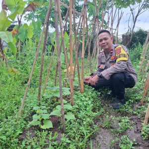 Bentuk Dukungan Program Ketahan Pangan Nasional Bhabinkamtibmas Aipda Rahmat Melaksanakan Pengecekan dan Pendataan Lahan Pekarangan Bidang Ketahanan pangan (Timun) di Desa Binaan