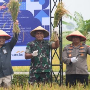 Tingkatkan Produksi Padi di Ngawi, Danrem Fokus Tingkatkan LTT
