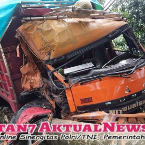 Laka Lantas di Depan Kantor PDAM Pangkep: Truk Tronton Nerobos Pagar dan Merebahkan Pohon Pinang Tanpa Korban Jiwa