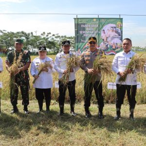 Kapolresta Tangerang Hadiri Kegiatan Vidcon Panen Raya Padi Serentak Bersama Presiden RI   
