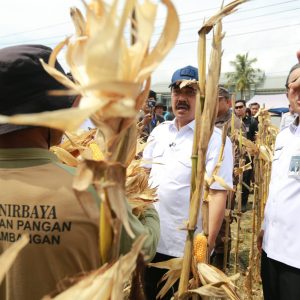 NUSAKAMBANGAN PANEN PERDANA, BANGUN LUMBUNG KETAHANAN PANGAN DAN BERI KESEMPATAN WARGA BINAAN