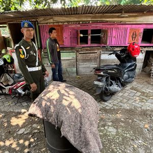 Polres Gresik Respon Aduan Warga, Grebek Lokasi Diduga Perjudian Sabung Ayam di Gresik