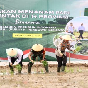 Hadiri Gerakan Tanam Padi Serentak 14 Provinsi Bersama Presiden, Dandim : Siap Sukseskan Swasembada Pangan 