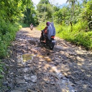 Rusak Parah, Warga Harap Jalan Kewenangan Pemkab Lebak di Desa Ciparahu Segera Dibangun   