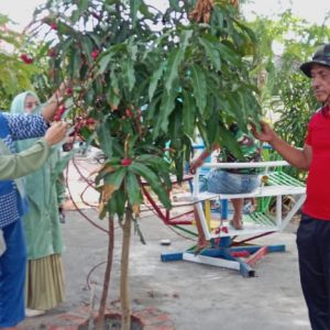Perawatan RTH Desa Gunung Kaler Pasca Raih Juara Umum Kabupaten Tangerang.(Senin 12/05/2025)    