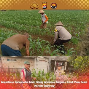 Optimalkan Program Ketahanan Pangan Polsek Pasar Kemis Gandeng Masyarakat.   