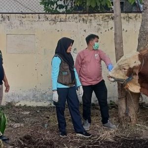 Polres Madiun Kota Datangkan Dokter Hewan Pastikan Kesehatan Hewan Kurban
