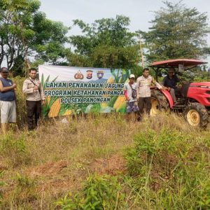 Program Ketahanan Pangan: Polsek Panongan Pembukaan Lahan Untuk Penanaman Jagung Di Desa Peusar Kecamatam Panongan