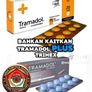 Elang Tiga Hambalang Siap Berkolaborasi dengan Aparat Hukum Perangi Narkoba