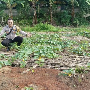 Bhabinkamtibmas Polsek Panongan Ajak Warga Dukung Ketahanan Pangan Nasional