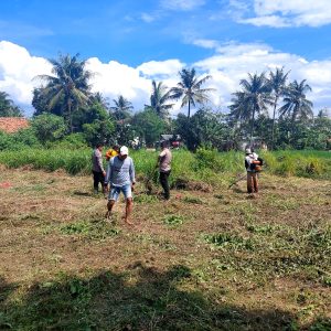 Terus Dukung Ketahanan Pangan,Polsek Mauk Polresta Tangerang Polda Banten Gotong Royong Bersihkan Rumput Liar   