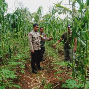 Aiptu Sukarna lakukan Pendataan Pekarangan Bergizi di Desa Cibetok