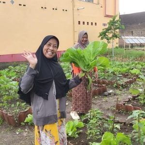 Pekarangan Bergizi Binaan Pak Bhabin Jadi Wisata Pasar Tangguh: Sensasi Petik Sawi di KTS Karangrejo Jember
