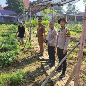 Polsek Panongan Memeriksa Lahan Pertanian Jagung Bersama Kades Mekar Jaya