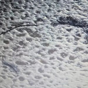 Limbah Pabrik CPO Di Kota Metro, Lampung Diduga Cemari Lingkungan.