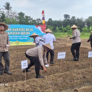 Kapolsek Kresek Dampingi Kapolresta Tangerang Tanam Jagung di Desa Talok