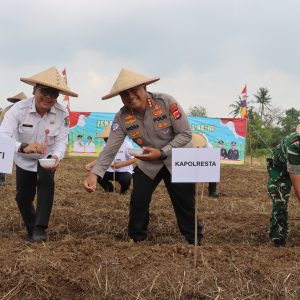 Penanaman Jagung Serentak Bersama Kapolri, Kapolresta Tangerang Siap Dukung Ketahanan Pangan di Setiap Tahapan  