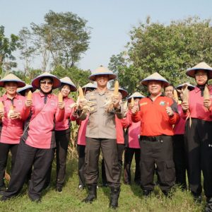 SPN Polda Jatim Gelar Panen Raya Jagung, Wujudkan Ketahanan Pangan