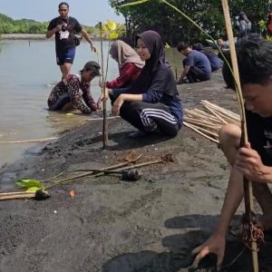 Universitas Budi Luhur dan Yayasan Pendidikan Budi Luhur Cakti Menanam 5000 Pohon Mangrove di Indramayu   