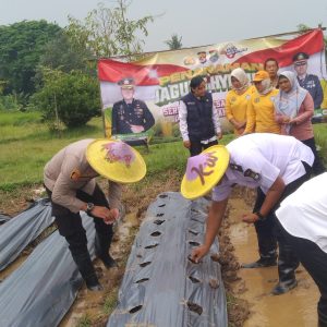 Polsek Panongan Laksanakan Kegiatan Penanaman Jagung Hybrida Serentak 1 Desa 2 Hektare   