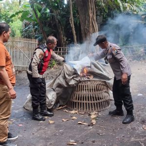 Tindaklanjuti Laporan Warga Polisi Bongkar Arena Sabung Ayam di Sidoarjo