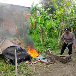 Respon Cepat Pengaduan Masyarakat Polisi Bongkar Arena Sabung Ayam di Sidoarjo