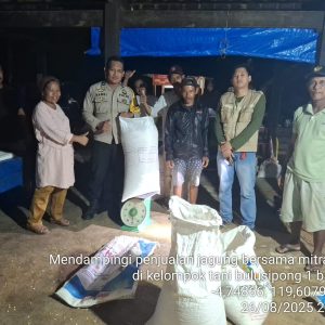 BHABINKAMTIBMAS POLSEK LABAKKANG DAMPINGI MITRA BULOG MEMBELI JAGUNG PETANI DI KAMPUNG BULU SIPONG DESA BARA BATU KECAMATAN LABAKKANG KABUPATEN PANGKEP