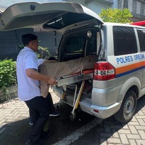 Pelayanan Humanis, Ambulans Polres Gresik Antar Jenazah Warga hingga Tempat Peristirahatan Terakhir