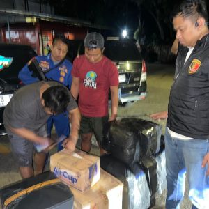 Polisi Airud Gagalkan Pengiriman 50 Ribu Benih Lobster Ilegal di Cianjur, Negara Berpotensi Rugi Rp7,5 Miliar